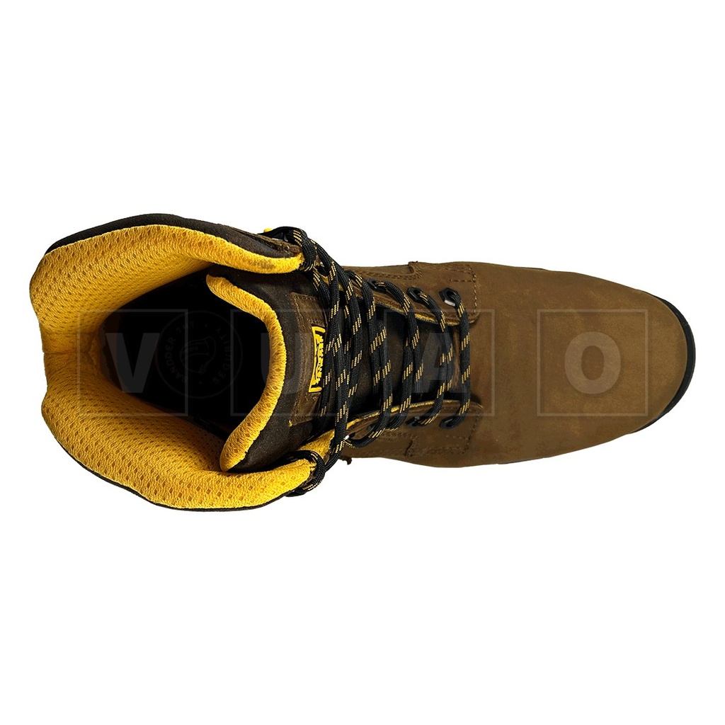 Botín De Seguridad Saga, Sandder