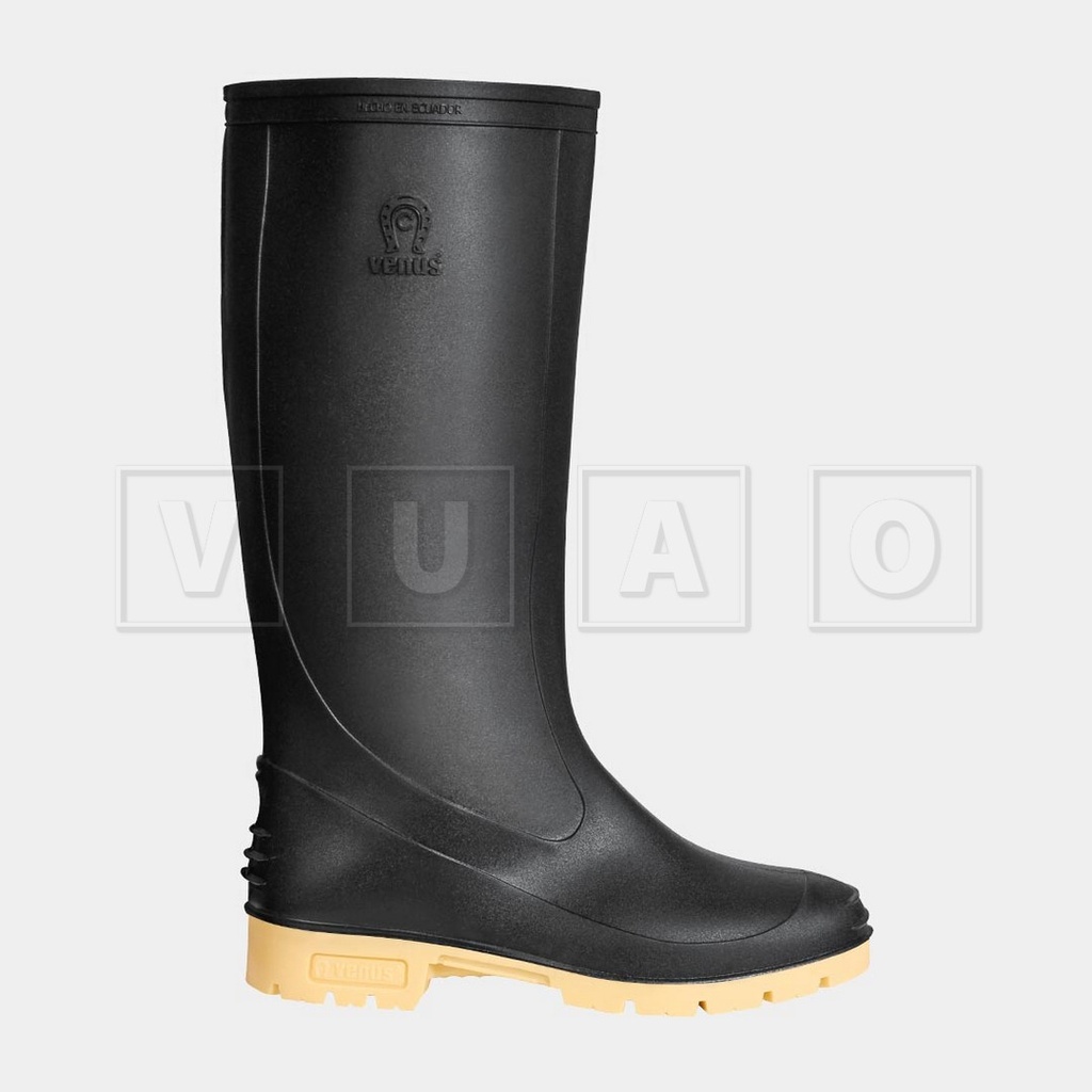 Bota pantanera, Venus