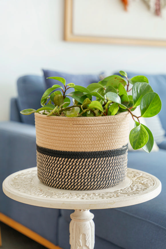 Vuao Canasta Hannover